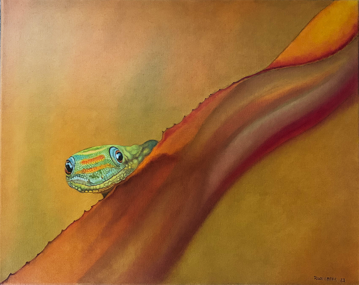 lizard